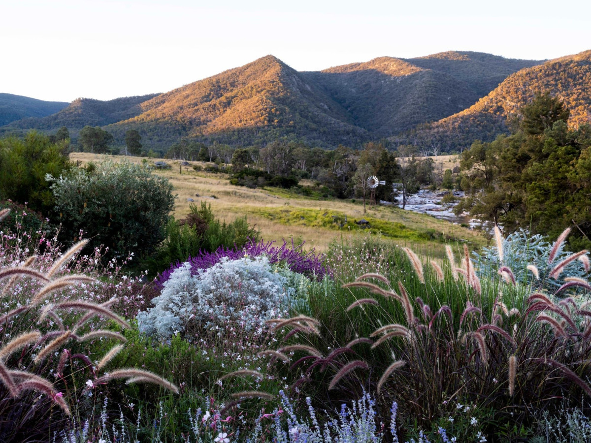 Carolyn Robinson's Eagles Bluff - Open Garden Weekend