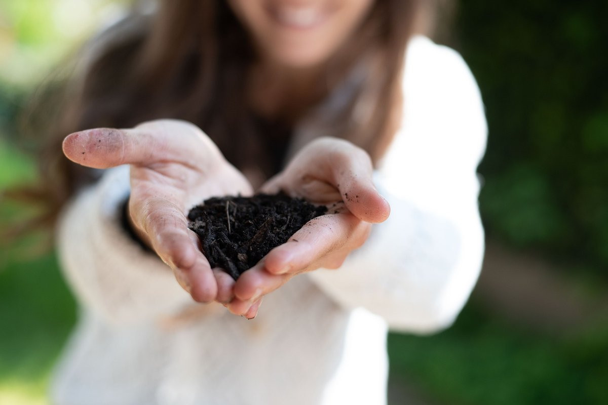 Living Soils our INTRODUCTORY Workshop