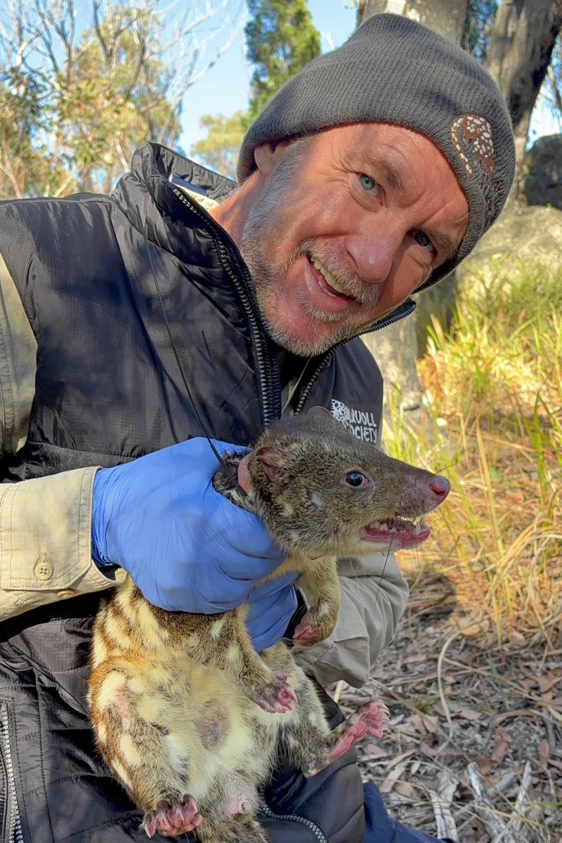 Queensland Landcare Awards - Making room for quolls