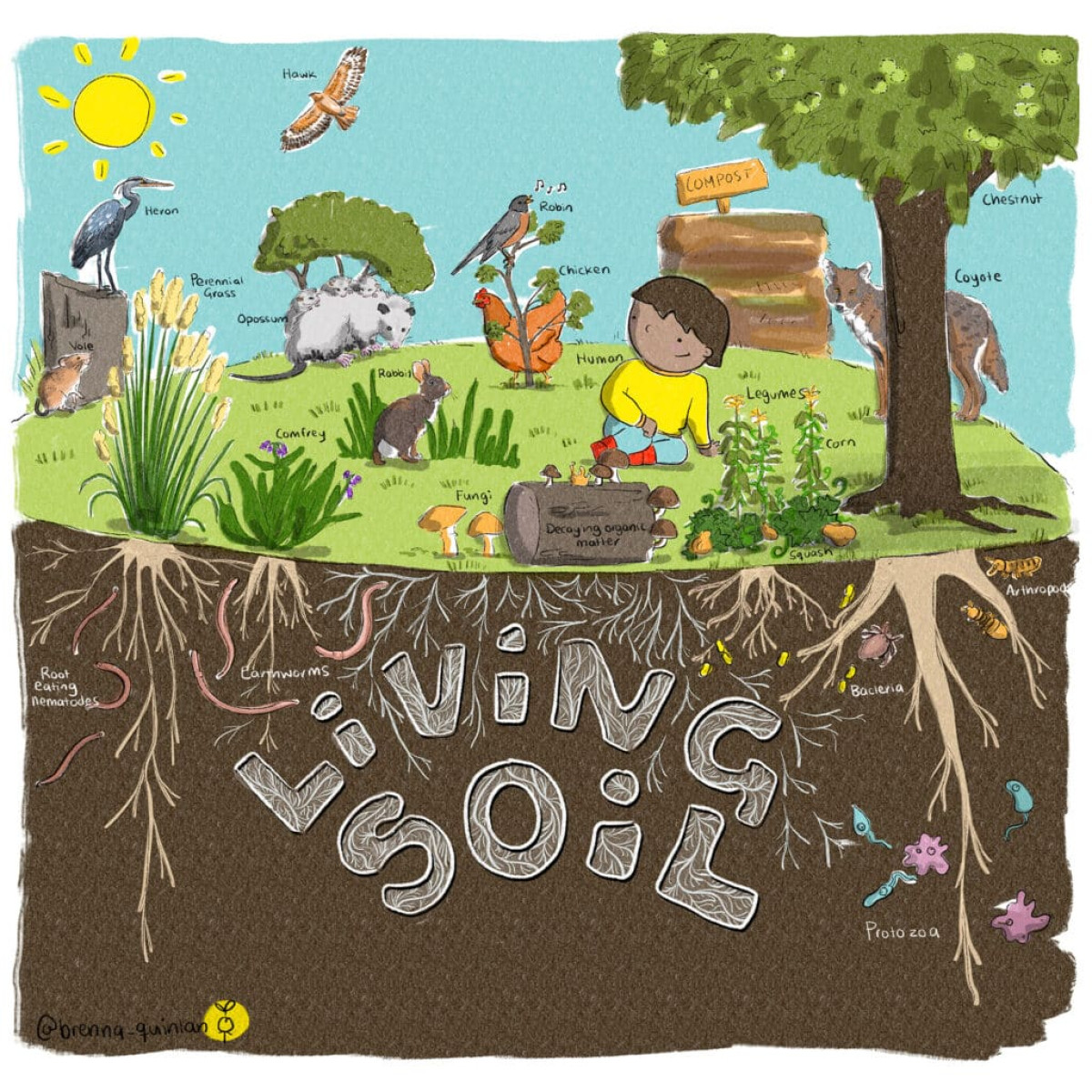 Living Soils Field Days - Woodside