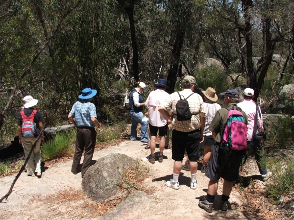 Wildflower Walk