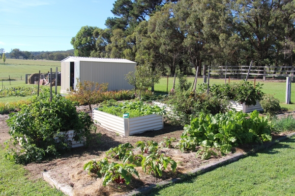 Raised Garden Beds