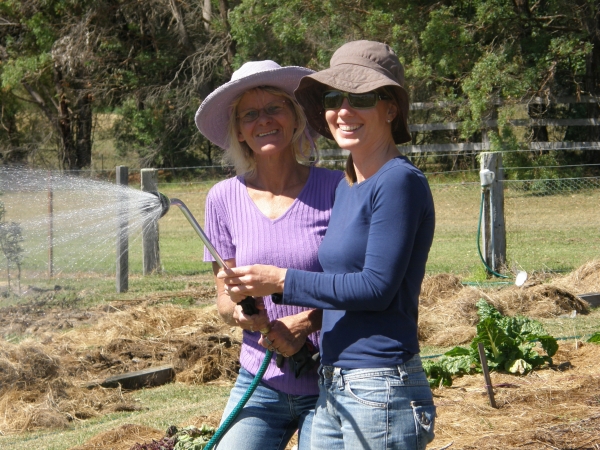 Watering time