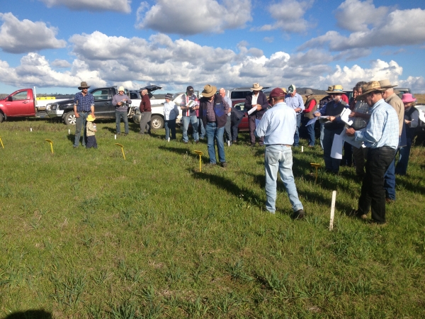 Fertiliser Trial Sites