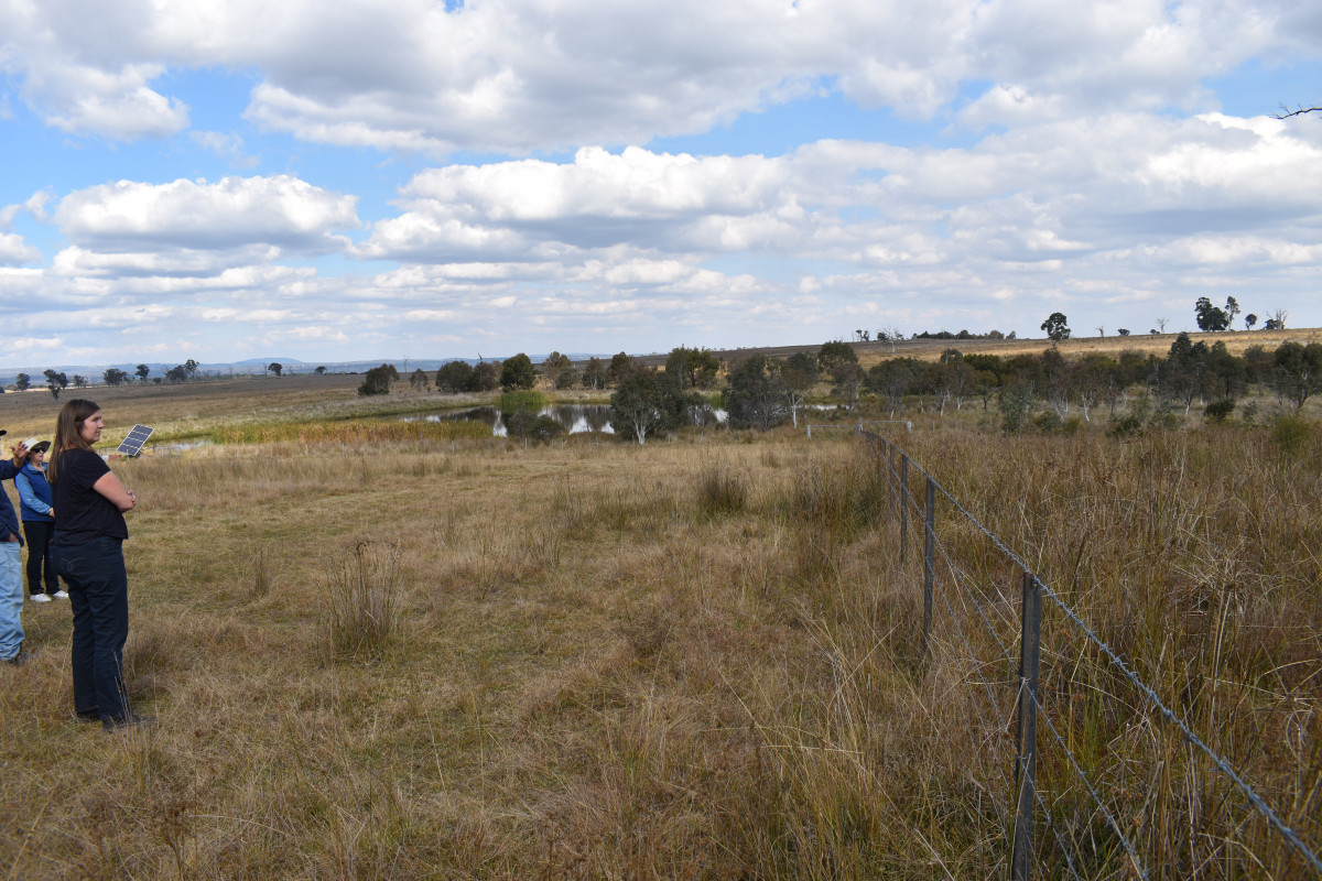 Future-Ready Farm Dams - Southern New England Landcare