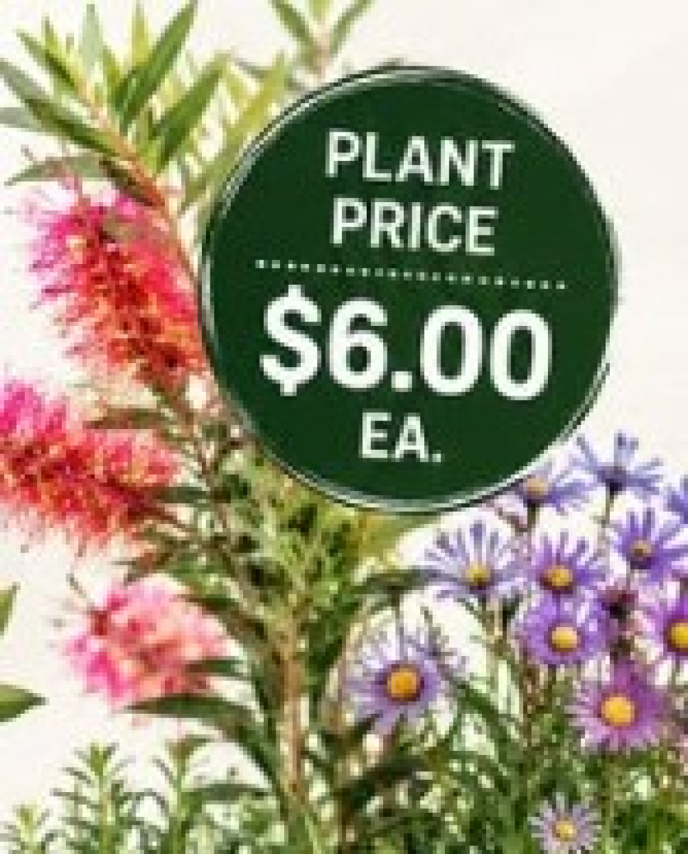 Stanthorpe Agricultural Society Fundraiser
