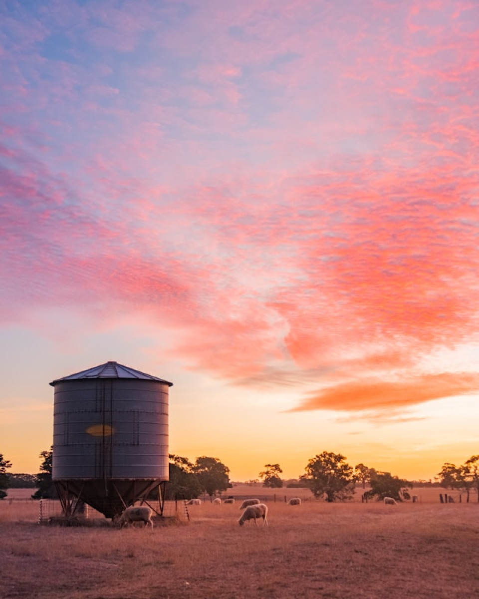 Graeme Sait to Deliver 4-day Nutrition Farming Workshop in Guyra.